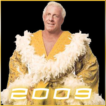 10823097_JQDSSTMVC - ric flair