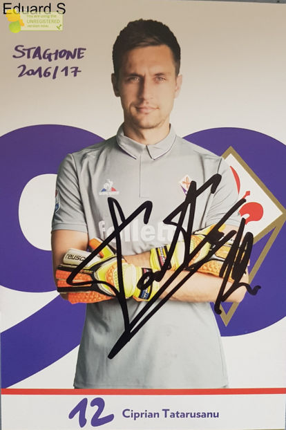 Ciprian Tatarusanu - Fiorentina 16-17 - Italia