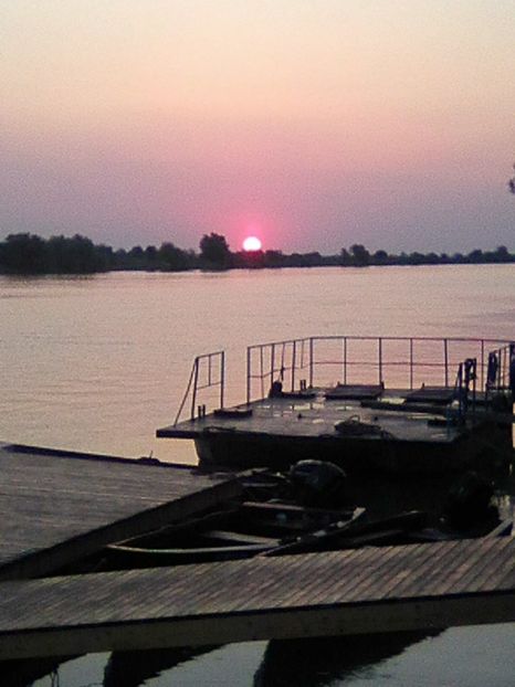 Photo0421 - BRAT SULINA DELTA 2018