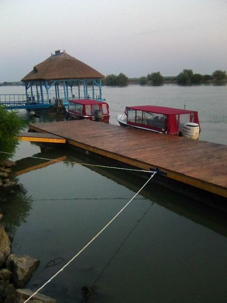 Photo0423 - BRAT SULINA DELTA 2018