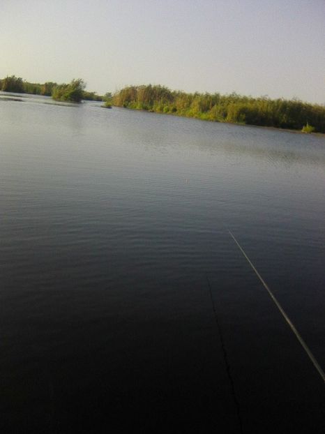 Photo0437 - BRAT SULINA DELTA 2018