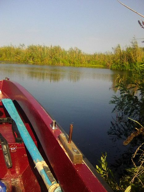 Photo0438 - BRAT SULINA DELTA 2018