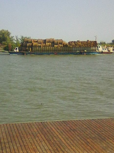 Photo0441 - BRAT SULINA DELTA 2018