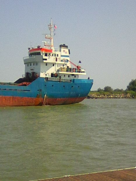 Photo0443 - BRAT SULINA DELTA 2018