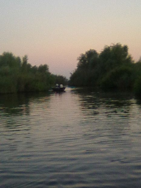 Photo0452 - BRAT SULINA DELTA 2018