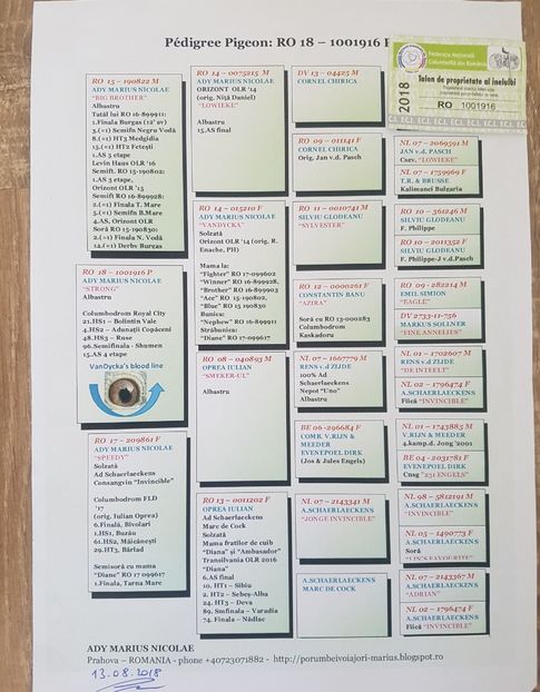 42157373_351777588697918_5104500796582526976_n-2500x3200 - RO 2018 1001916 - STRONG