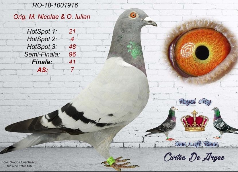 42189838_1938331736460495_1487859491188768768_o - RO 2018 1001916 - STRONG