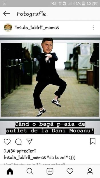  - Sezonul 4 insula iubirii - memes 1
