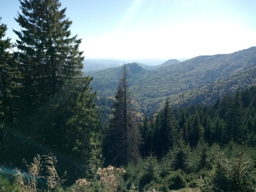 Mirifica natura - 6 - Diverse