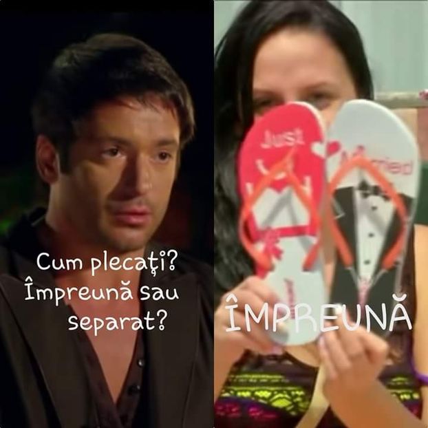  - Sezonul 4 insula iubirii - memes 2