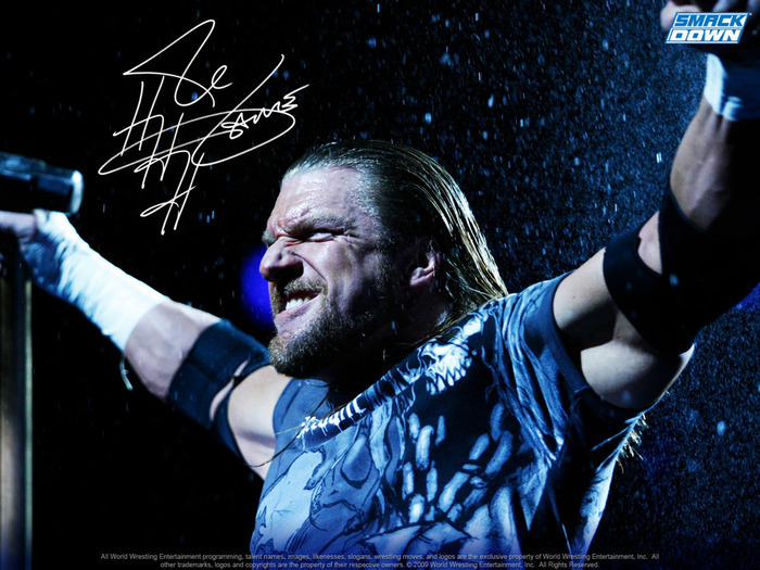 10815843_AWHLKNHOG - triple h