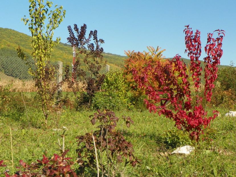 6 oct (12) - Dobarland 2018 4