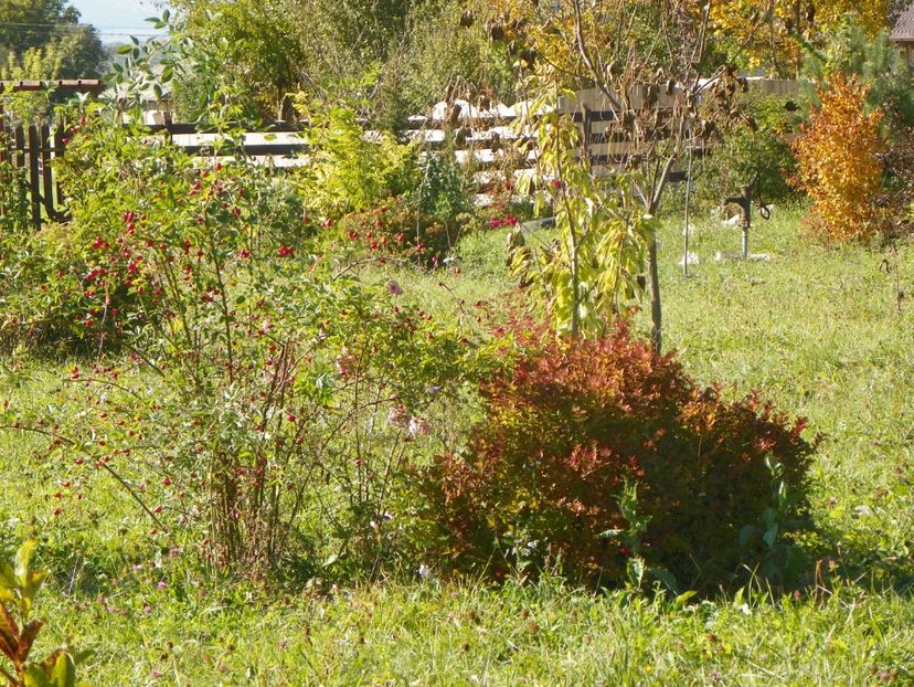 6 oct (37) - Dobarland 2018 4