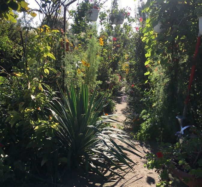 ED262884-4B1E-445D-B7B3-D49AA0B5CC1A - Octombrie