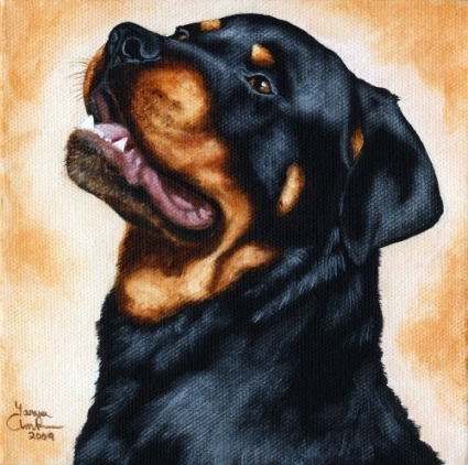 10791741_UHEMXBBGO - ROTTWEILER