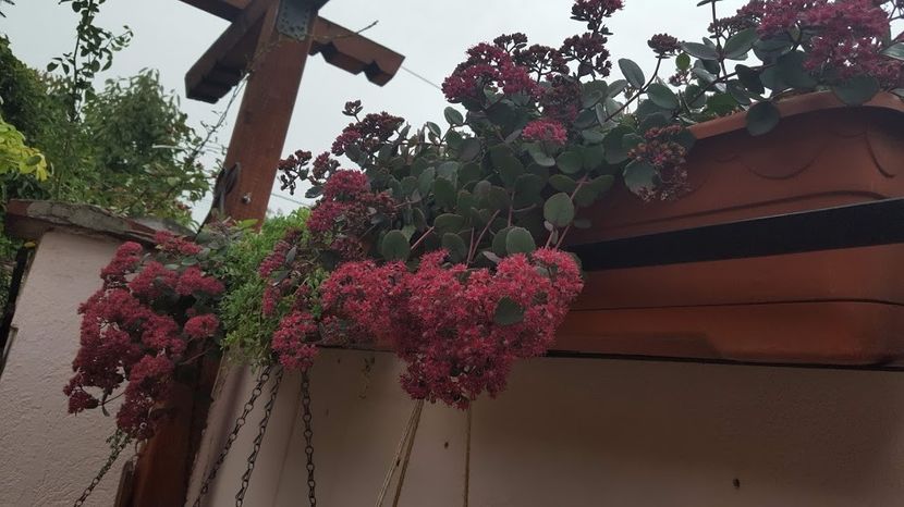  - septembrie _ octombrie