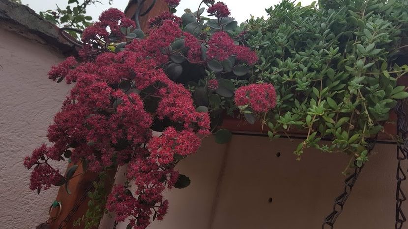  - septembrie _ octombrie