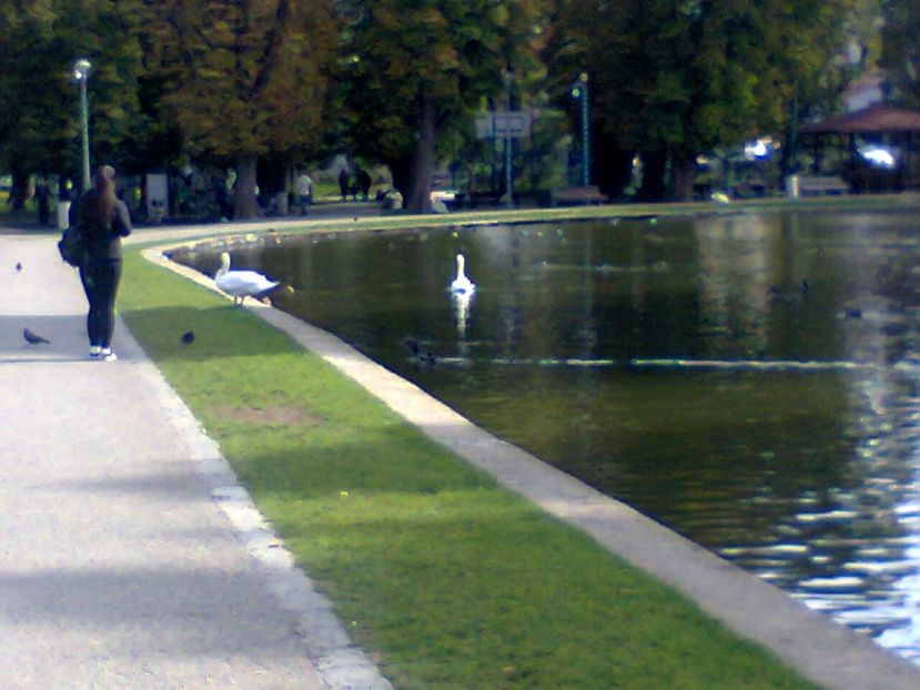 Fotografie4328 - 2018 IN PARCUL SIMION BARNUȚIU o zi minunată