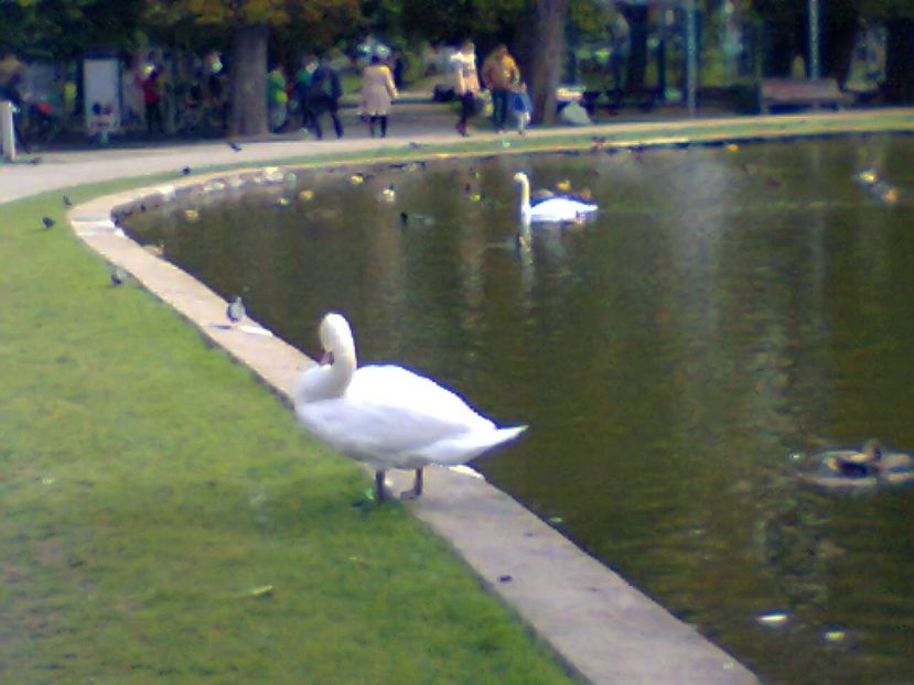 Fotografie4330 - 2018 IN PARCUL SIMION BARNUȚIU o zi minunată