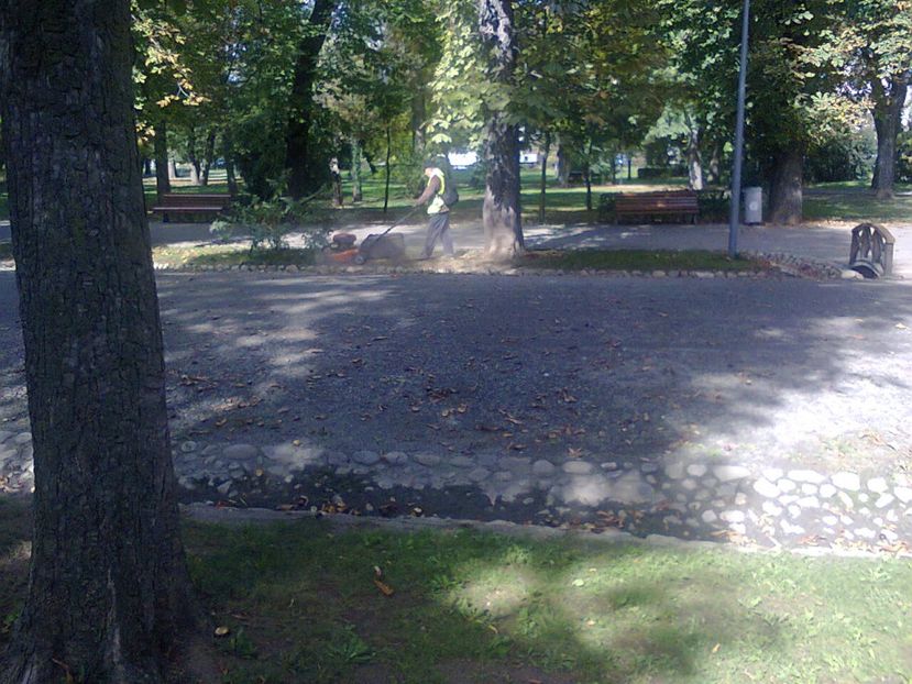 Fotografie4341 - 2018 IN PARCUL SIMION BARNUȚIU o zi minunată