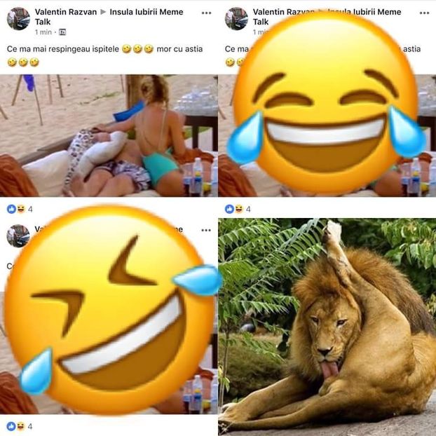  - Sezonul 4 insula iubirii - memes 2