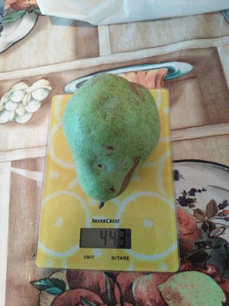 7 octombrie , proba cantarului , au dezvoltat un gust bun - Par de la Florin