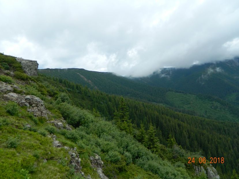  - Varful Tihu-Muntii Calimani Iunie-2018