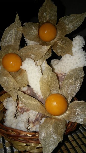phisalis edulis fructe - prin gradina