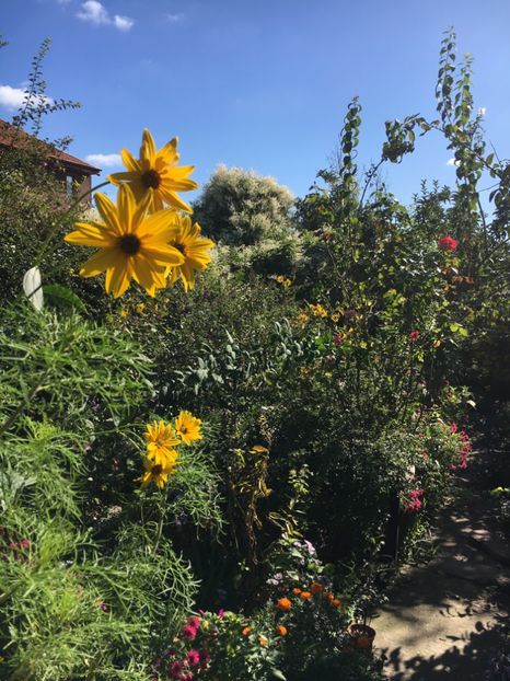 F9BEEE3D-C6EA-49EF-8CC8-FD025F5FFEB4 - Octombrie