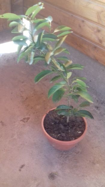 1539092339171-1968896643 - Rugăminte