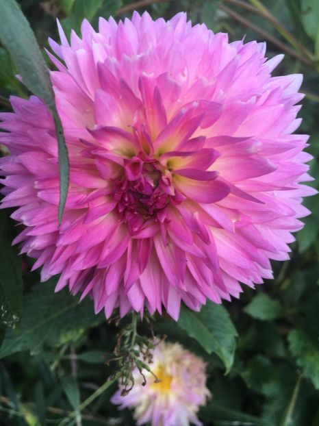 D37C134B-3D63-4D9C-93FC-1133EFBA6639 - Octombrie