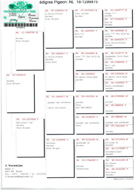  - Achizitii - 2018 - matca
