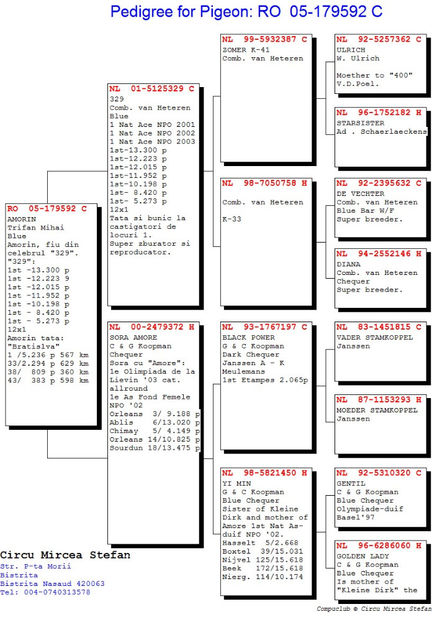 "Amorin" - Fiu 329 - 300 euro