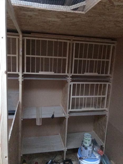 5C076CFE-DCE0-418C-BB1A-9576B85E6300 - Crescatoria din Irlanda