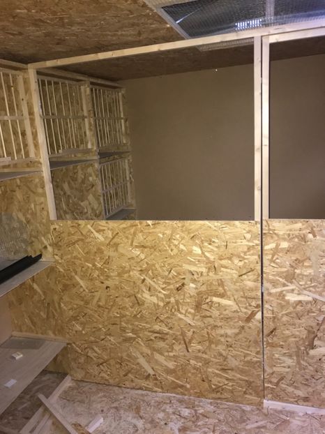 DA34BBF5-4AED-48AF-8F8D-C2437A13DFB5 - Crescatoria din Irlanda