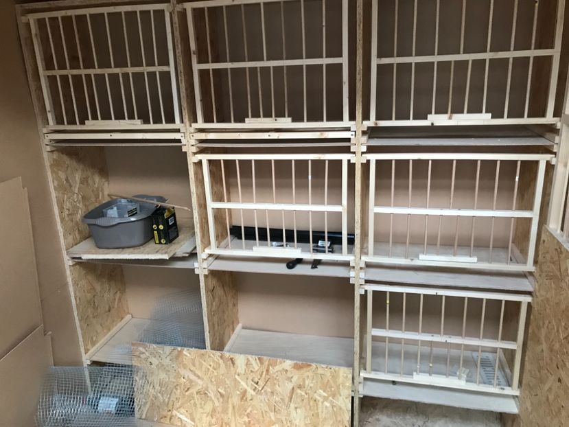 4102F85E-1CE2-4AB5-82B3-6126B5A42687 - Crescatoria din Irlanda