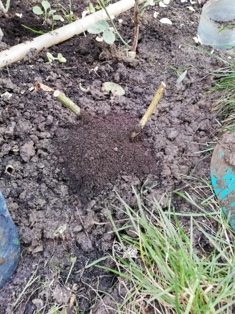  - Ultimele achizitii