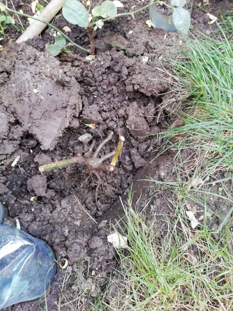  - Ultimele achizitii