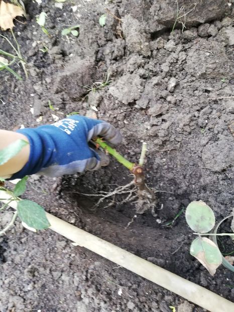  - Ultimele achizitii