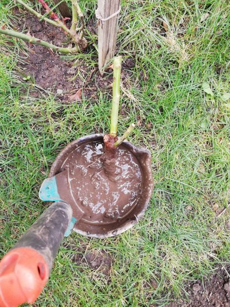  - Ultimele achizitii