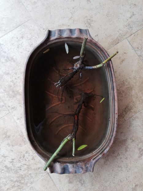  - Ultimele achizitii