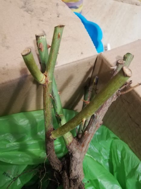  - Ultimele achizitii