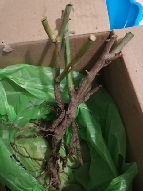  - Ultimele achizitii