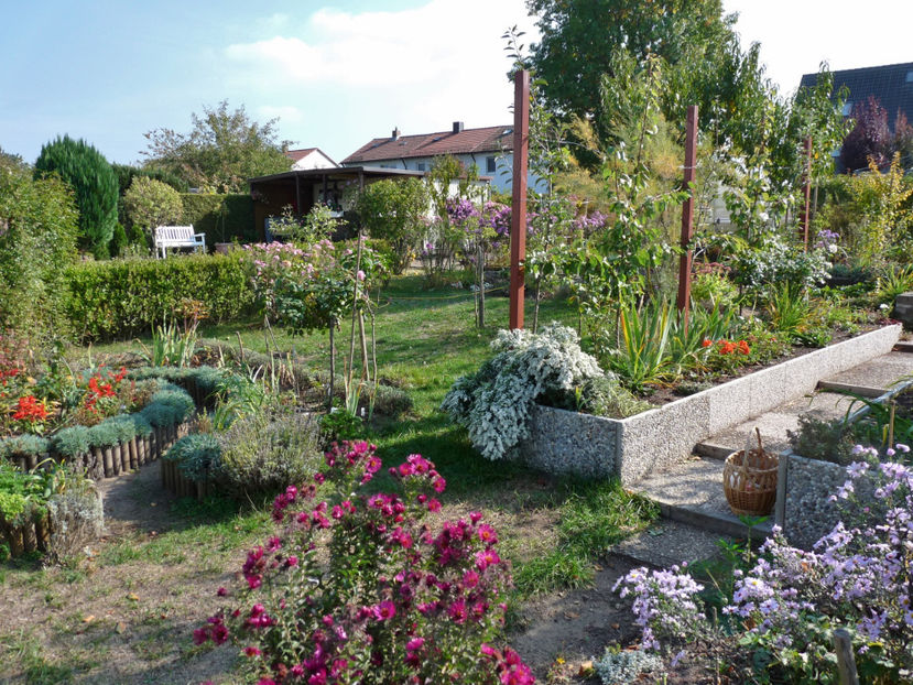  - 2018 - 03 - Toamna