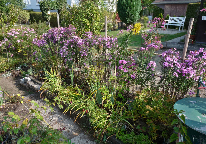  - 2018 - 03 - Toamna