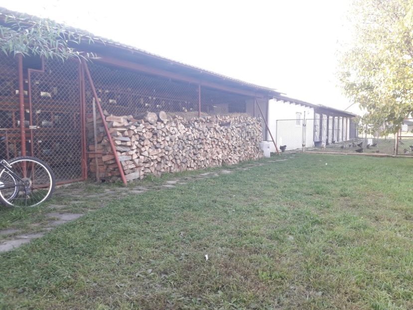  - ADAPOST IEPURI 2016