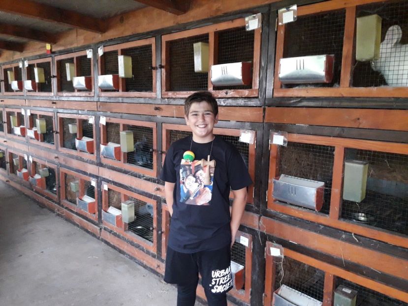  - ADAPOST IEPURI 2016