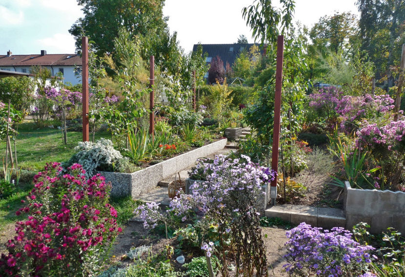  - 2018 - 03 - Toamna