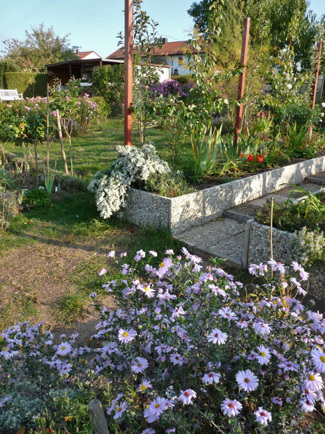  - 2018 - 03 - Toamna