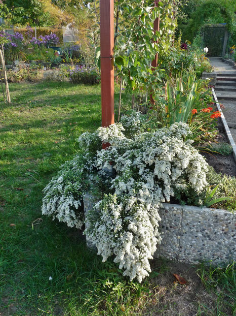  - 2018 - 03 - Toamna